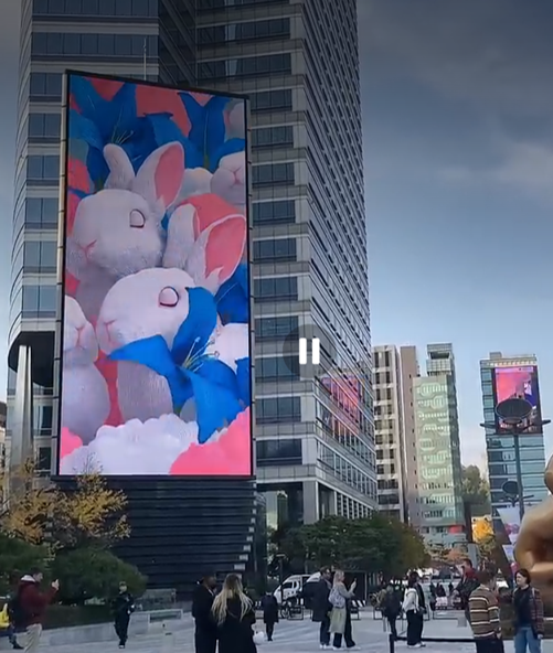 토끼구름을 쫒아서